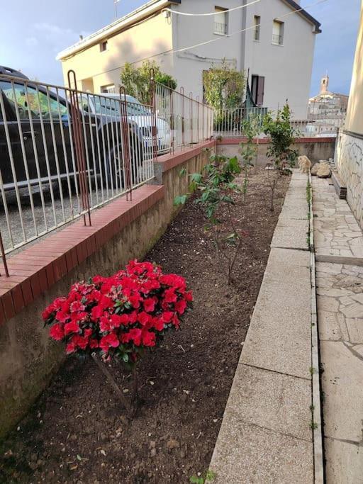 B&B La Finestra Sul Mare Ripatransone Εξωτερικό φωτογραφία